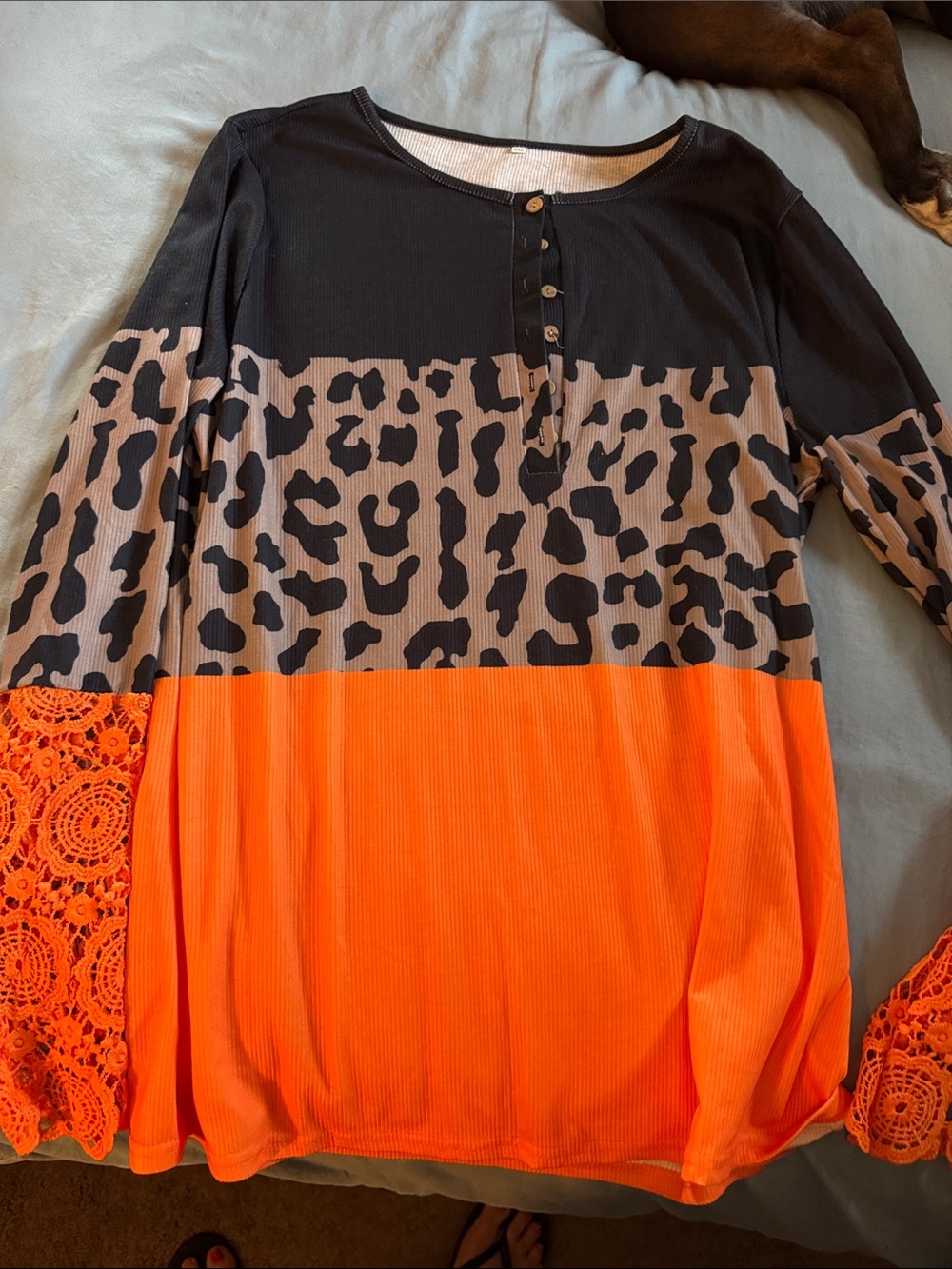 Women’s Long Sleeve Colorblock Leopard & Lace Top - Black, Taupe & Orange
